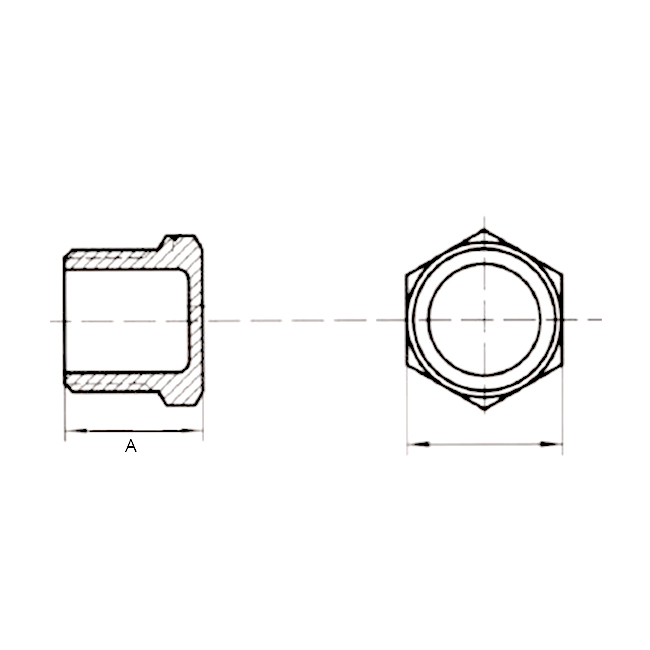 BSP Hexagon plug con. 1" 316